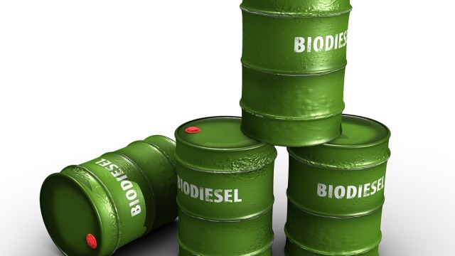 Ilustrasi Biodiesel (Foto: Flickr)
