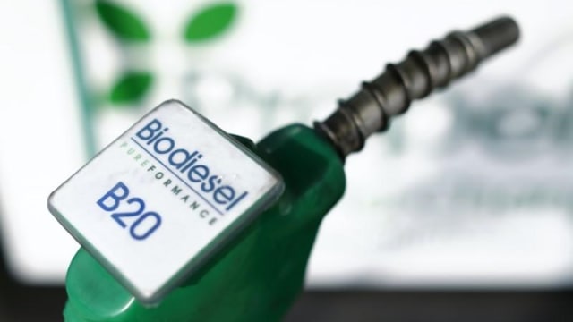 Ilustrasi Biodiesel (Foto: Reuters/Mike Blake)