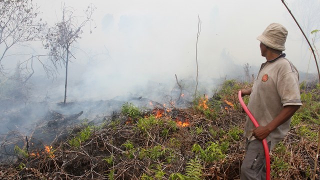 Kebakaran Hutan dan Lahan di Aceh Barat Foto: Syifa Yulinnas/Antara