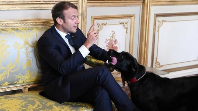 Macron dan Nemo (Foto: Alain Jocard)