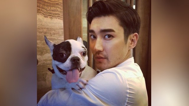 Siwon dan anjingnya, Bugsy (Foto: ​Twitter/@siwonchoi​)