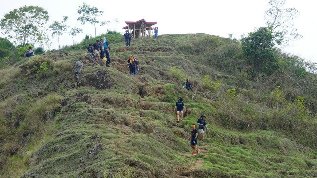 kumparan getaway di bukit Selong di Sembalun (Foto: Aditia Noviansyah/kumparan)