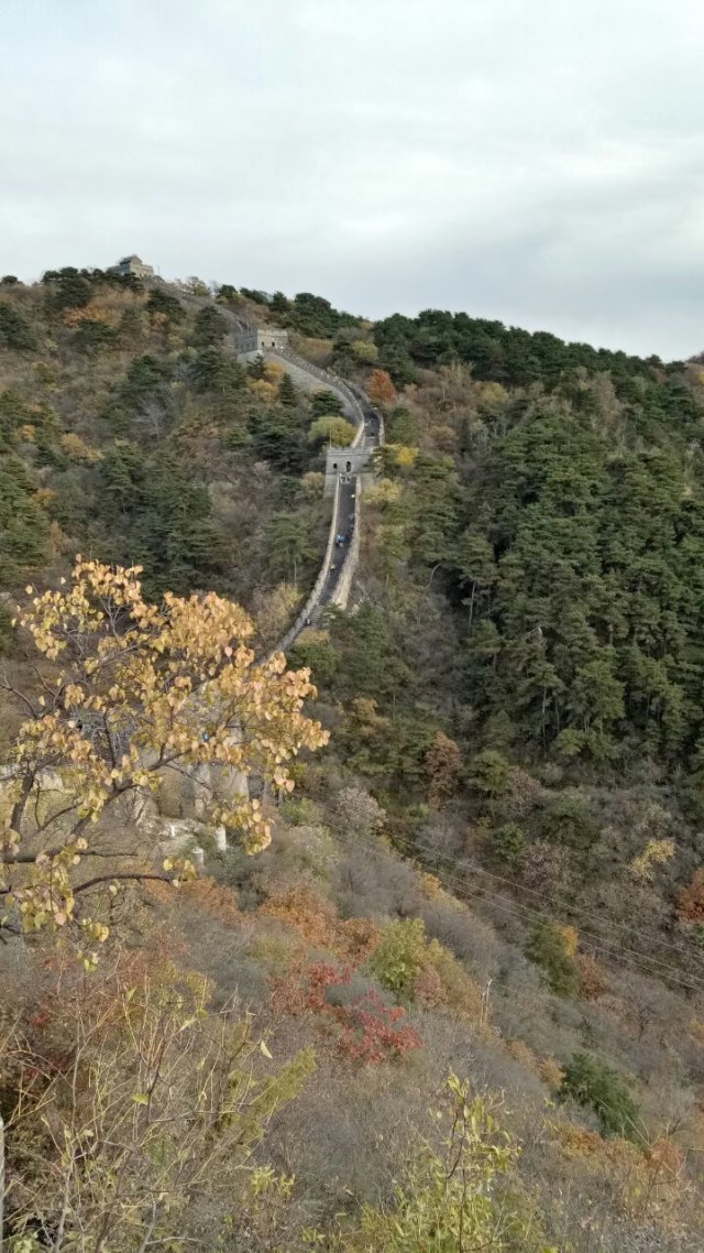 Wisata ke Tembok Besar China. (Foto: Denny Armandhanu/kumparan)