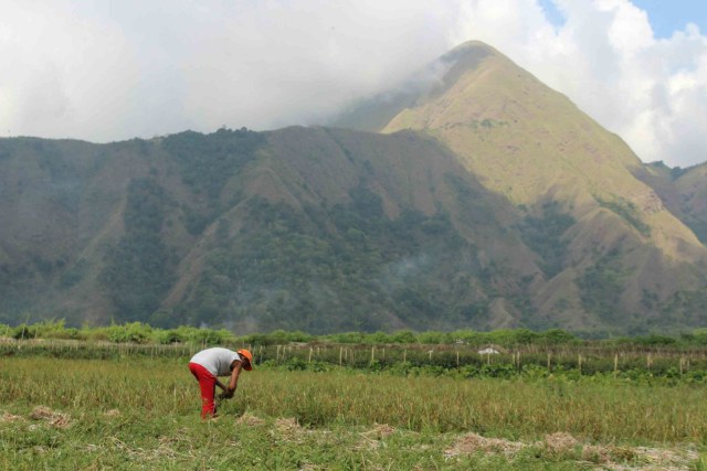 perjalanan panjang eksplore sembalun dan Csr BNI (2)