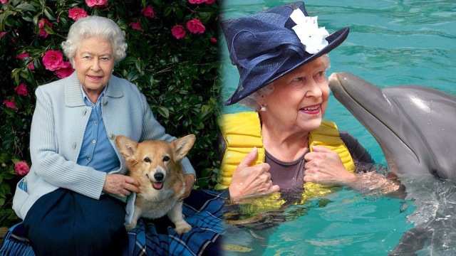 Hewan peliharaan Ratu Elizabeth II (Foto: Instagram @queenelizabeth)