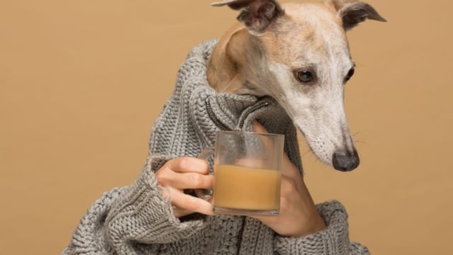 Diklaim Baik Untuk Kesehatan Kini Ada Kopi Yang Dibuat Untuk