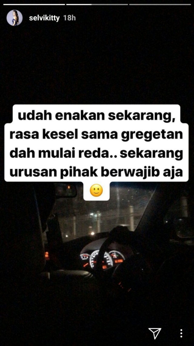 Dihujat Netizen, Selvi Kitty Resmi Lapor Polisi (672114)