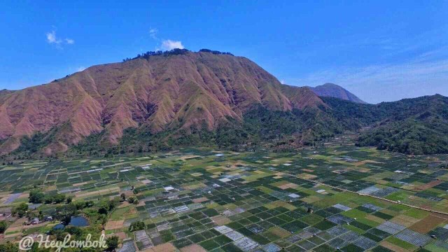 LUKISAN ALAM - DESA SEMBALUN (1)