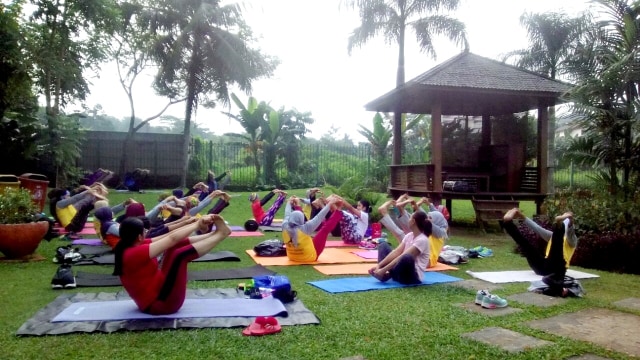 Taman Tabebuya di Jagakarsa Jakarta Selatan (Foto: Nurul/kumparan)