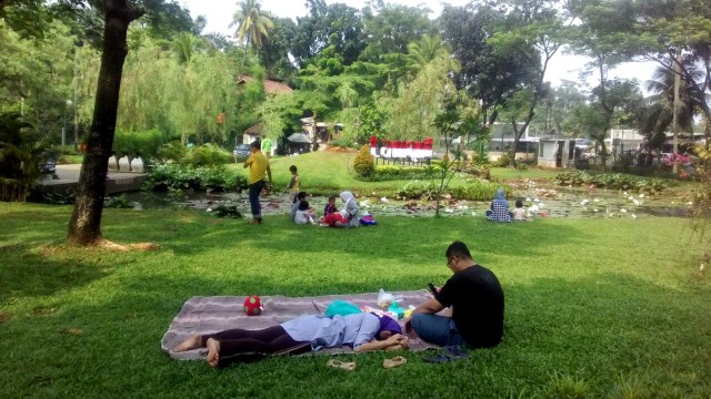 Taman Tabebuya di Jagakarsa Jakarta Selatan (Foto: Nurul/kumparan)