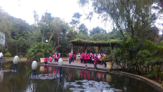 Suasana Taman Spatodhea. (Foto: Aditya Pratama/kumparan)