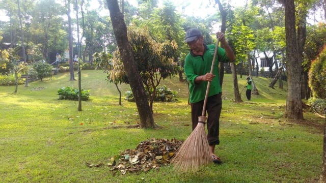 Membersihkan Taman Spatodhea. (Foto: Aditya Pratama/kumparan)