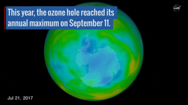 Lubang Ozon Mengecil (Foto: NASA)
