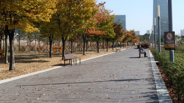Songdo Central Park Incheon, Korea Selatan (Foto: Intan Kemala Sari/kumparan)