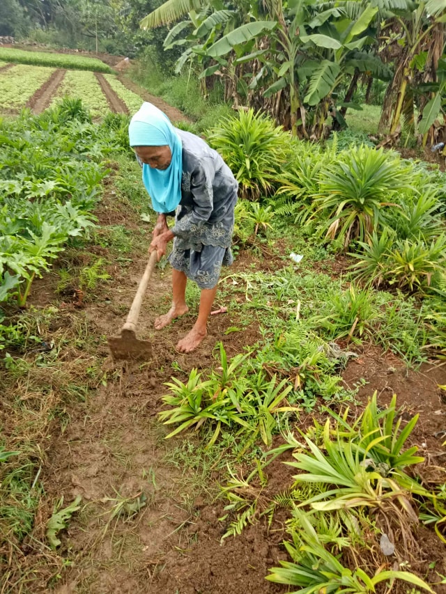 Nenek Salimah : Wanita Renta yang Menolak Melemah