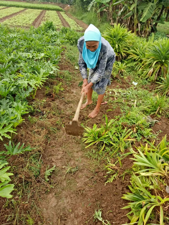 Nenek Salimah Ingin Naik Haji