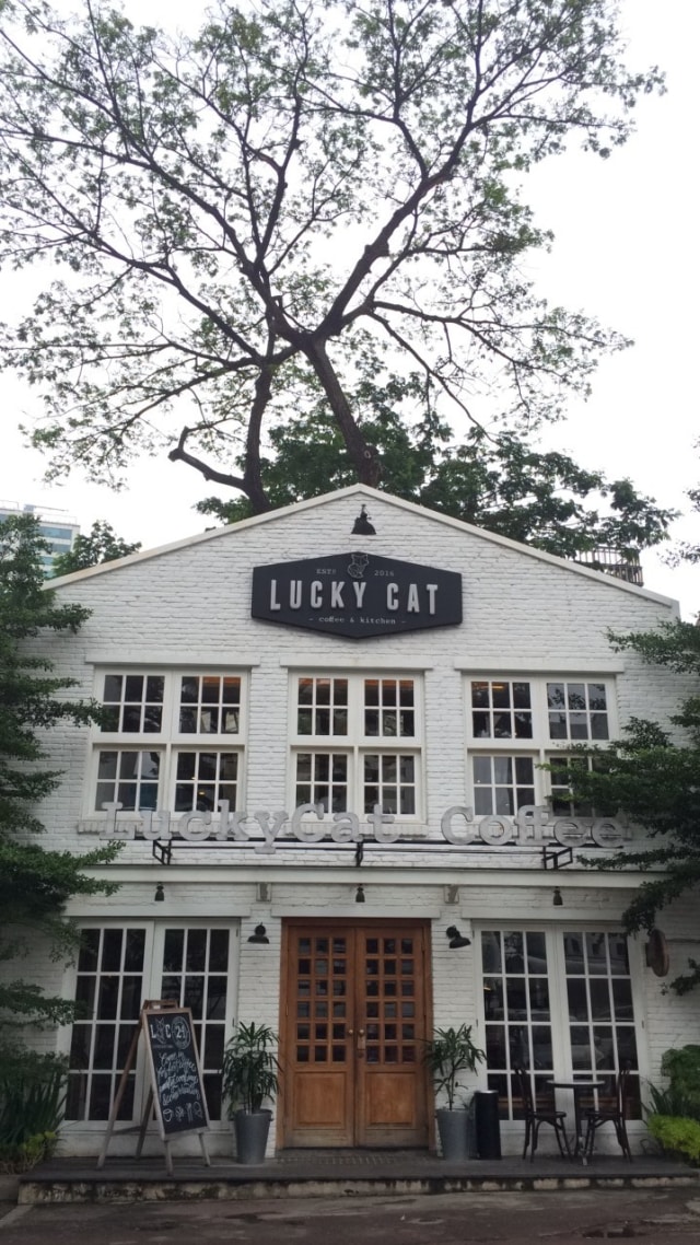 Lucky Cat Coffee & Kitchen: Tempat Ngopi yang Instagramable