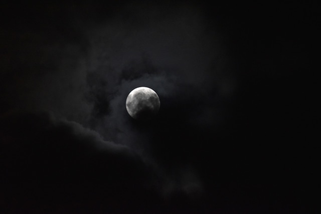Bulan. (Foto: Pixabay)