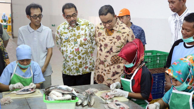 Anies kunjungi pabrik pengolahan ikan (Foto: Dok. Dinkominfomas DKI Jakarta)
