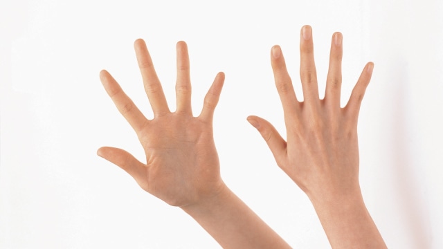 Mengapa Manusia Memiliki 10 Jari  Tangan  dan 10 Jari  Kaki 