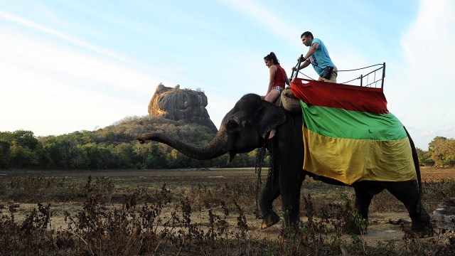 Ilustrasi menaiki gajah (Foto: ISHARA S.KODIKARA / AFP)