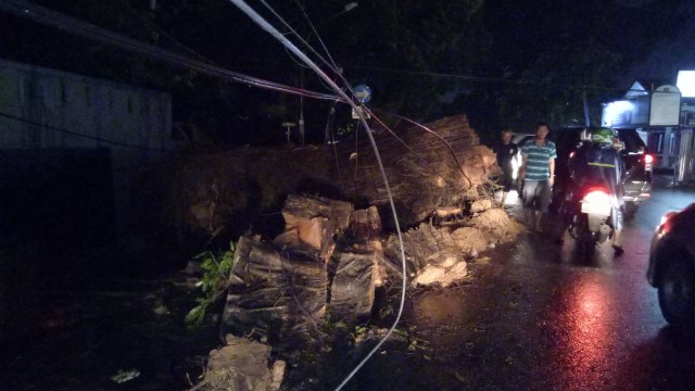 Pohon yang tumbang di Jalan Bendi, Tanah Kusir (Foto: Diah Harni/kumparan)
