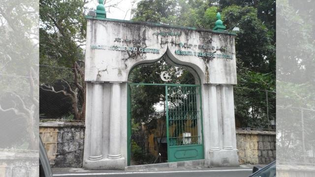 com-Mosquita de Macao (Foto: Wikipedia)