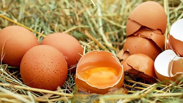 Manfaat Mengkonsumsi Telur Selama Kehamilan (Foto: Pixabay)