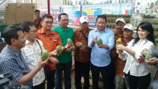 5 Hari Dipamerkan di Jakarta, 40 Ton Mangga Alpukat Ludes Terjual