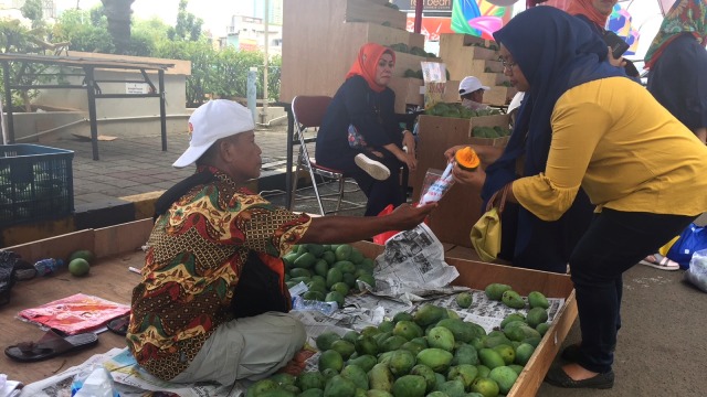 Mangga alpukat, hasil pertanian petani Pasuruan (Foto: Siti Maghfirah/kumparan)