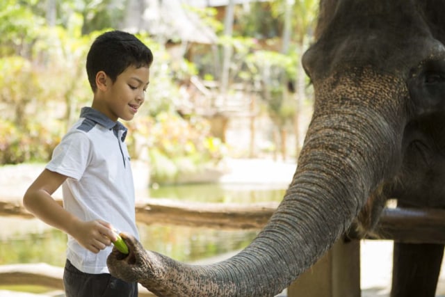 Elephant Park (Foto: dok. Elephant Park)