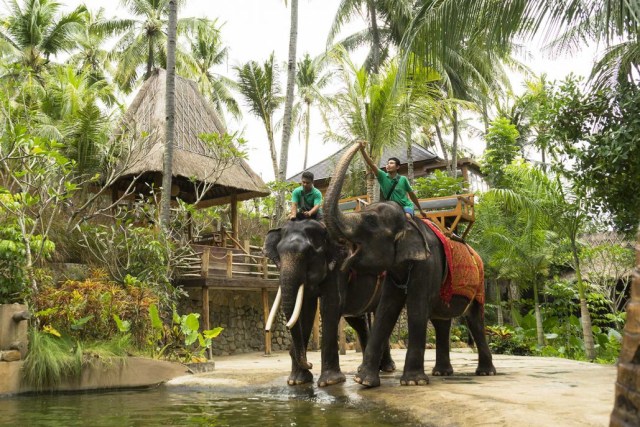 Akhirnya Ada Juga Lombok Elephant Park | kumparan.com