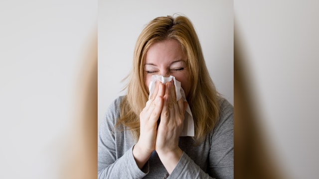 Mengurangi alergi (Foto: Pixabay)