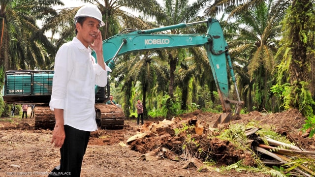 Jokowi di Hutan Kelapa Sawit (Foto: Dok. Agus Suparto - Presidential Palace)