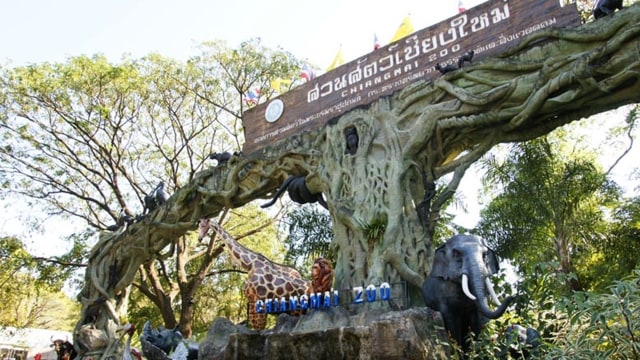Chiang Mai Zoo Thailand. (Foto: Chiang Mai Zoo)