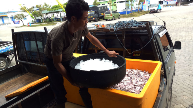 Nelayan di Pelabuhan Perikanan Nusantara Brondong Foto: Resya Firmansyah/kumparan