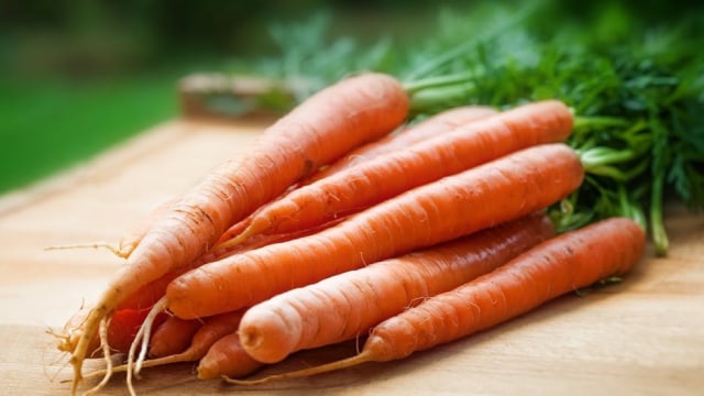 Antioksidan dalam wortel bisa cegah penuaan dini (Foto: Pexels)