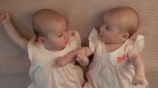 Bayi kembar (Foto: Pixabay)