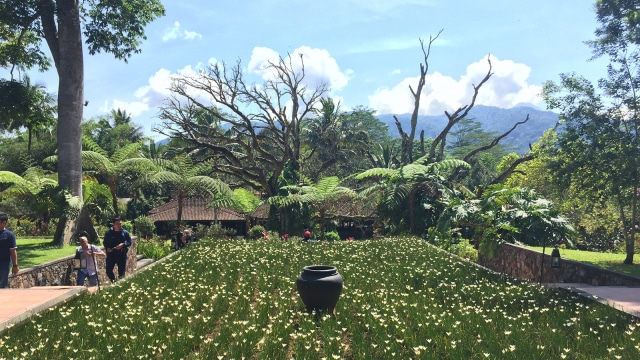 Resort MesaStila di Magelang. (Foto: Ema Fitriyani/kumparan)