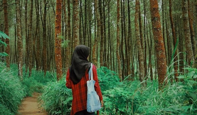 Hutan pinus di kawasan Coban Talun. (Foto: Instagram/@ellamarsaa)