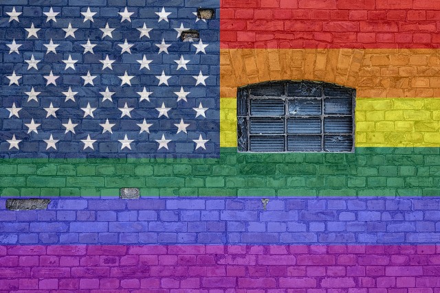 Ilustrasi LGBT USA (Foto: Angela Yuriko Smith/Pixabay)