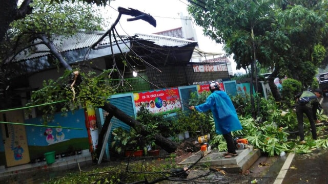 Penanganan pohon tumbang dekat stasiun Palmerah (Foto: Twitter/@PosPohonTumbang)