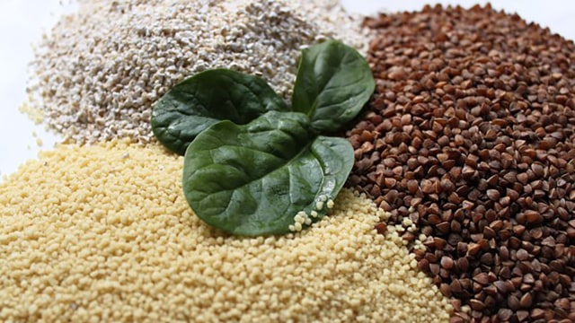 Barley sebagai alternatif makanan kaya serat. Foto: Pixabay