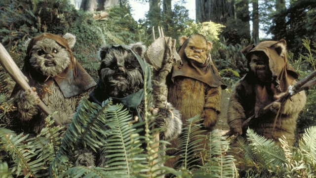 Ewok di 'Star Wars'. (Foto: Star Wars)