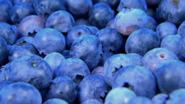 Blueberry baik dikonsumsi ibu hamil (Foto: Pixabay)