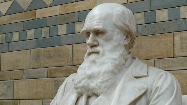 Patung Charles Darwin di Natural History Museum. (Foto: Aitoff via Pixabay (CC0 Creative Commons))