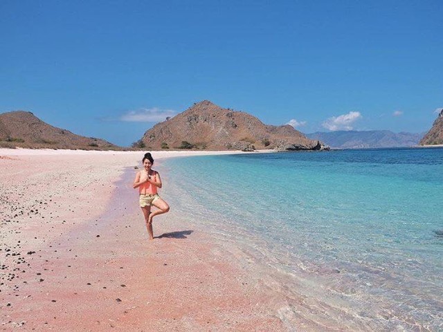 Pantai Pink, Pulau Komodo (Foto: Instagram/@travsolo)