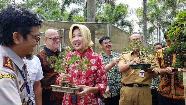 Bonsai Asal Salatiga yang Siap Diekspor ke Eropa (Foto: Dok: Badan Karantina Pertanian Kementan)