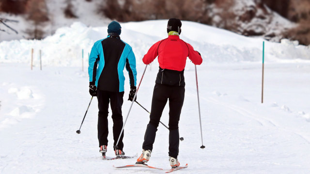 Ski bisa jadi alternatif wisata (Foto: Pixabay)