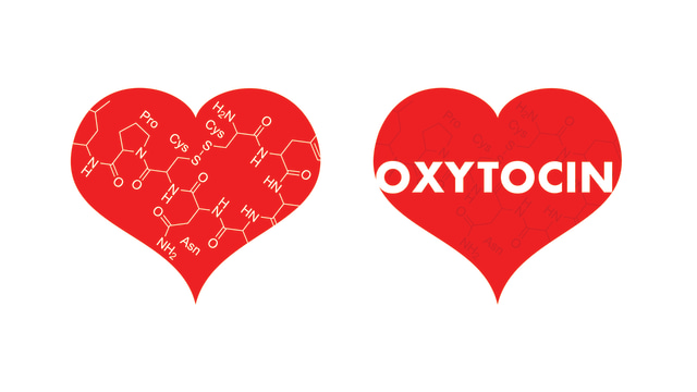 Hormon Cinta Oksitosin (Foto: Shutterstock)